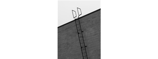 Fixed Steel Ladders