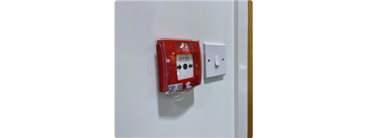 Fire Alarm Systems 