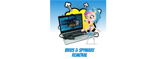Wireless & Spyware Removal 