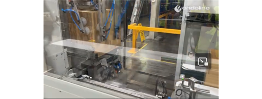 Automated Case Packing Solutions