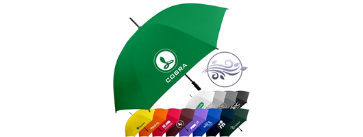Branded Promotional Umbrella 
