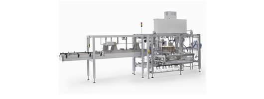 Case & Tray Packing Systems 