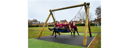 Children Playing on Log Swing w/ Basket Seat