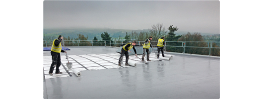 Liquid Roofing Systems 