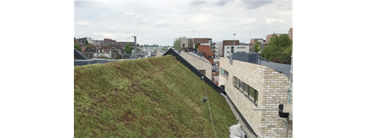 Green Roofing 