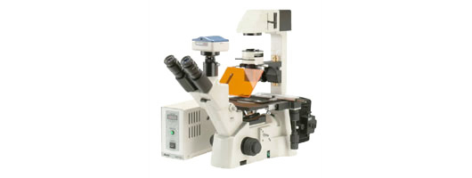 Motic AE30 FL inverted microscope
