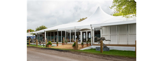 Corporate Event Tents for Professional Gatherings 