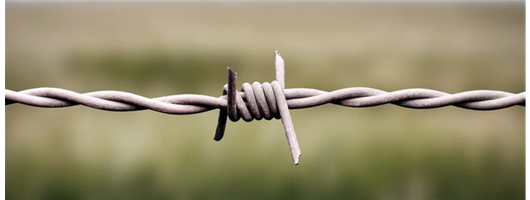  Barbed Wire 