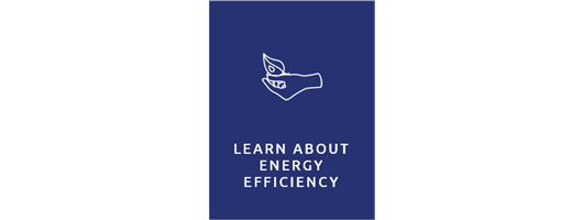 Learning About Energy Efficiency