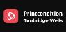 Printcondition Ltd Logo 001