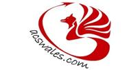 ACS Wales Ltd Logo 001
