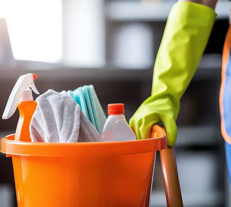 Expert House Cleaning Services