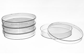 Plant-Based Cell Culture Dishes