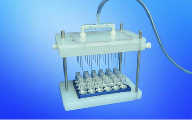 Gas Evaporation