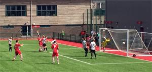 Zaun fences Newport Gwent Dragons'' training base