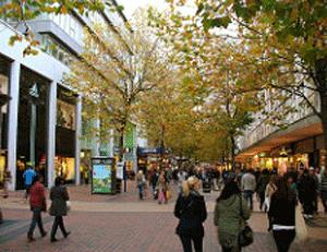 Five benefits of using trees in urban design