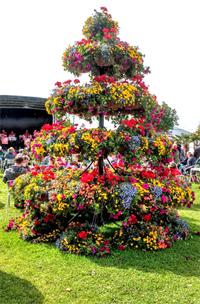 Blooming partnership creates flower show sculpture