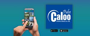 Caloo Ltd Pulse App