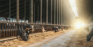 Repair, protect and prep your farm building floors fast with Polycote