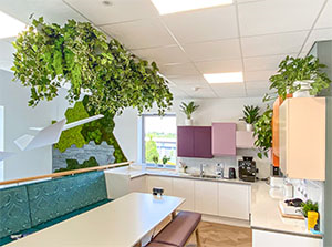 How Office Plants Increase Productivity