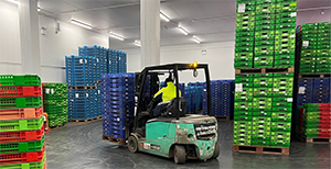 Putting Ecotile at the Core of Wye Fruit&rsquo;s Packing Facility