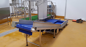 How Does A Food Conveyor Belt Work?