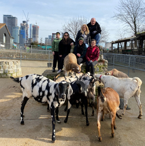 Feel good friday - Surrey docks farm