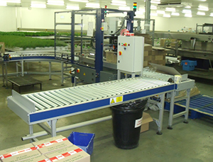 Powered conveyor and case sealer