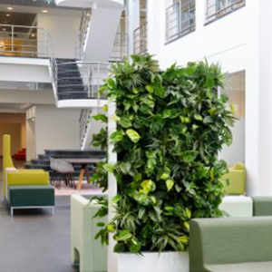 Biophilic Design: Nature&rsquo;s Game Changer in the Office 