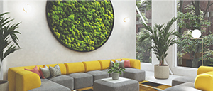 5 Benefits of Biophilic Design