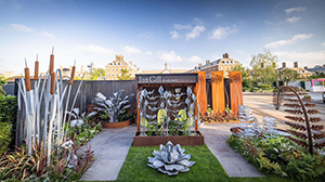 The RHS Chelsea Flower Show