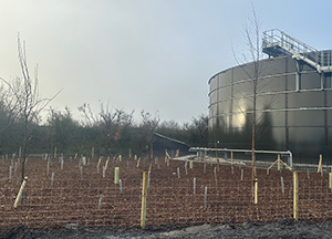 Plantscape enhances the landscape at a local factory site