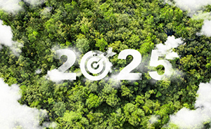 Five New Year&rsquo;s Resolutions for Environmental Practitioners in 2025