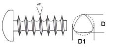 Stainless Steel Screws for Plastics