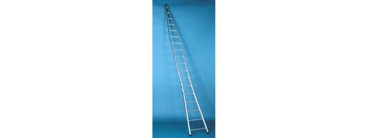 Fruit picking ladder