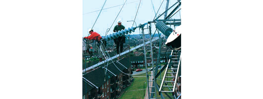 National grid aluminium ladders