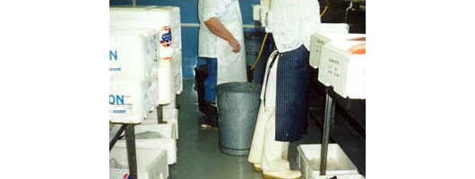 Hygienic coatings