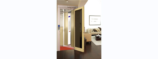 VPL400H Home Lift