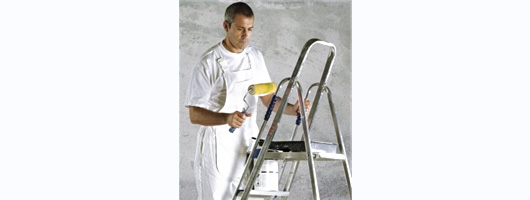 Dickies Painters Bib N Brace