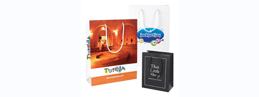 Rope Handle Luxury Paper Carrier Bag