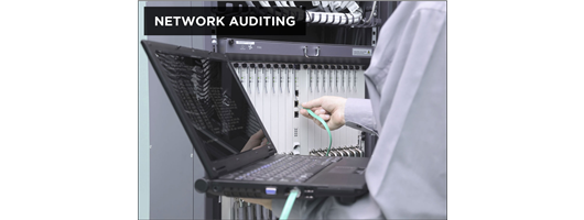 Network Auditing