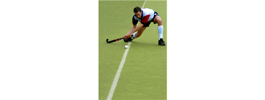 Hockey Surface