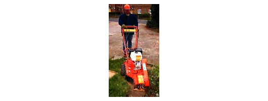 Tree Stump Grinder