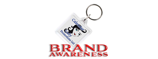 Logo Branded Keyrings