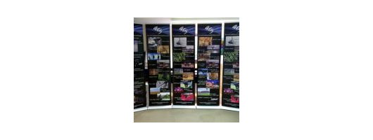 600mm Roller Banner