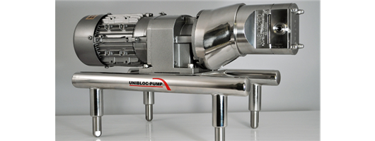 HpE Unibloc Rotary Lobe pump