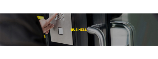 Business Security