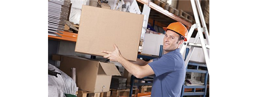 Manual Handling Trainer Course