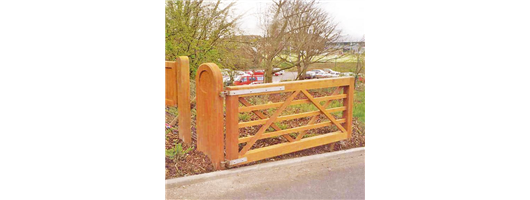 Entrance Gate