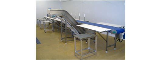 Stainless Steel Conveyors